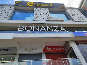 Bonanza Salon logo